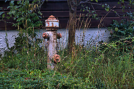 Bernhard Saalfeld - DSC08063 -1